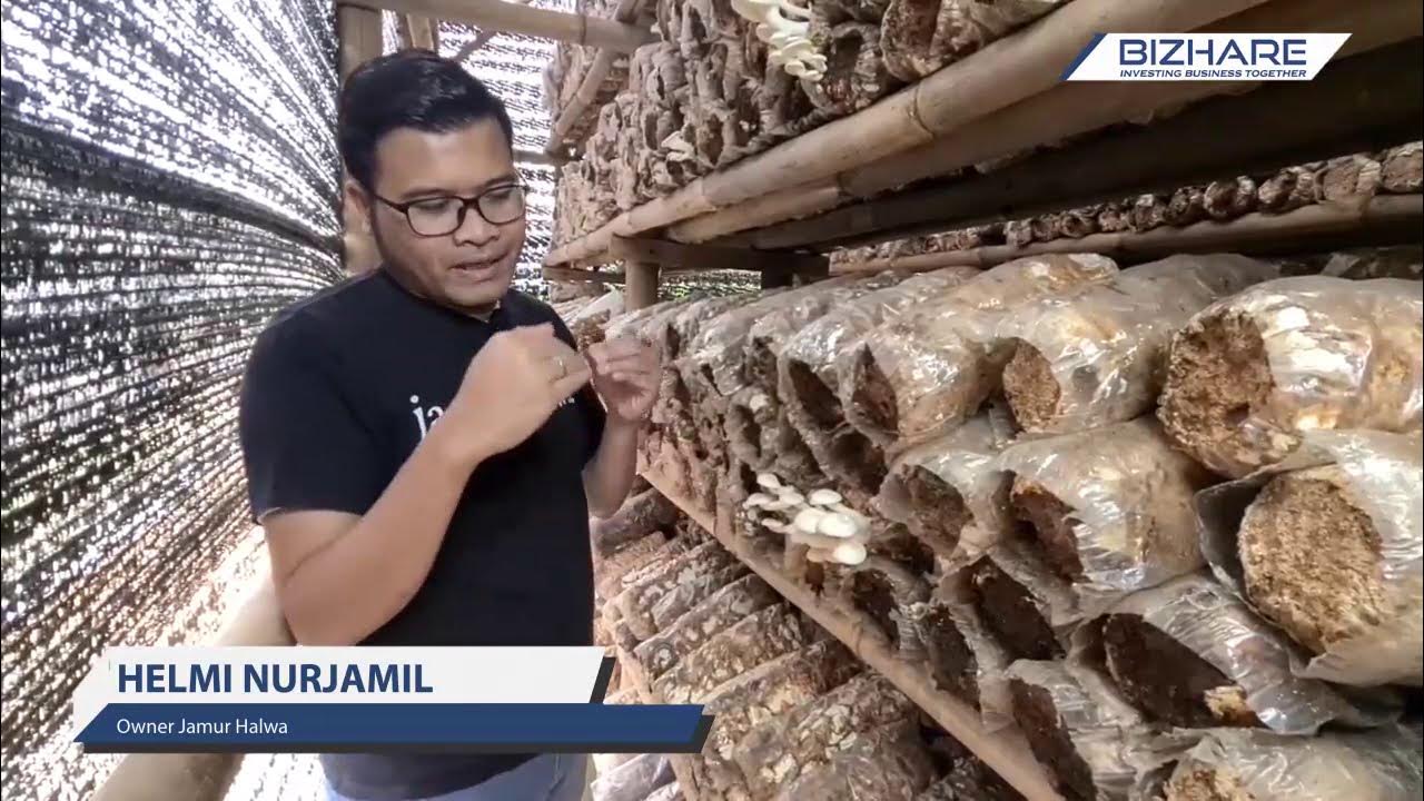 Budidaya Jamur Tiram Raih Omset Ratusan Juta Rupiah Ekspor hingga Korea