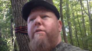 Zoophyter Hammock Tree Straps Review