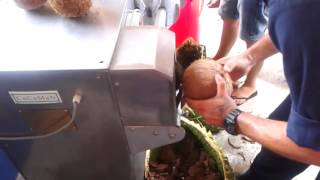 Coconut Shelling Machine