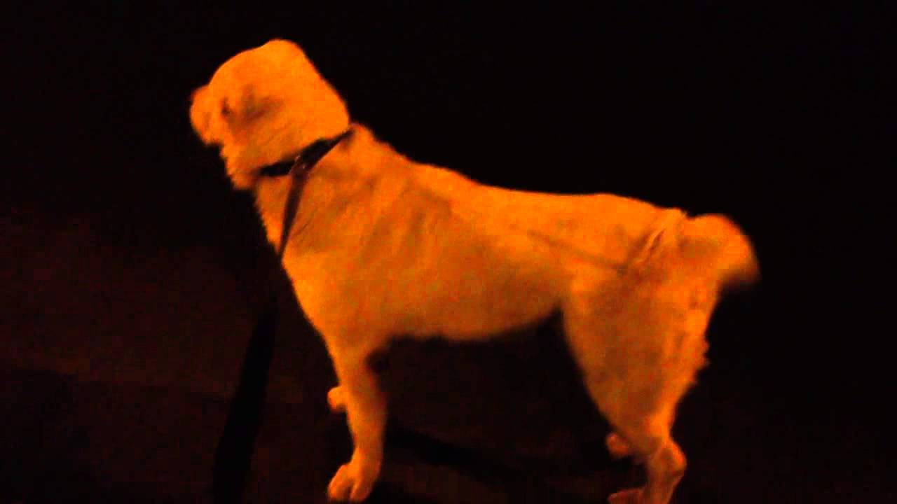 Пожар в Туле Мясново 11 проезд, 5.11.12 - YouTube