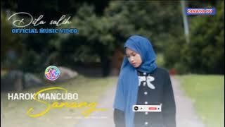 Dila Salih-Harok Mancubo Sanang (Official Music Video)