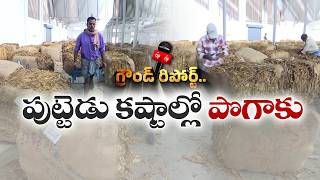 Tobacco Farmers in Deep Crisis Amid Rising Taxes, War Impact &amp; Low Prices || Etv Ground Report