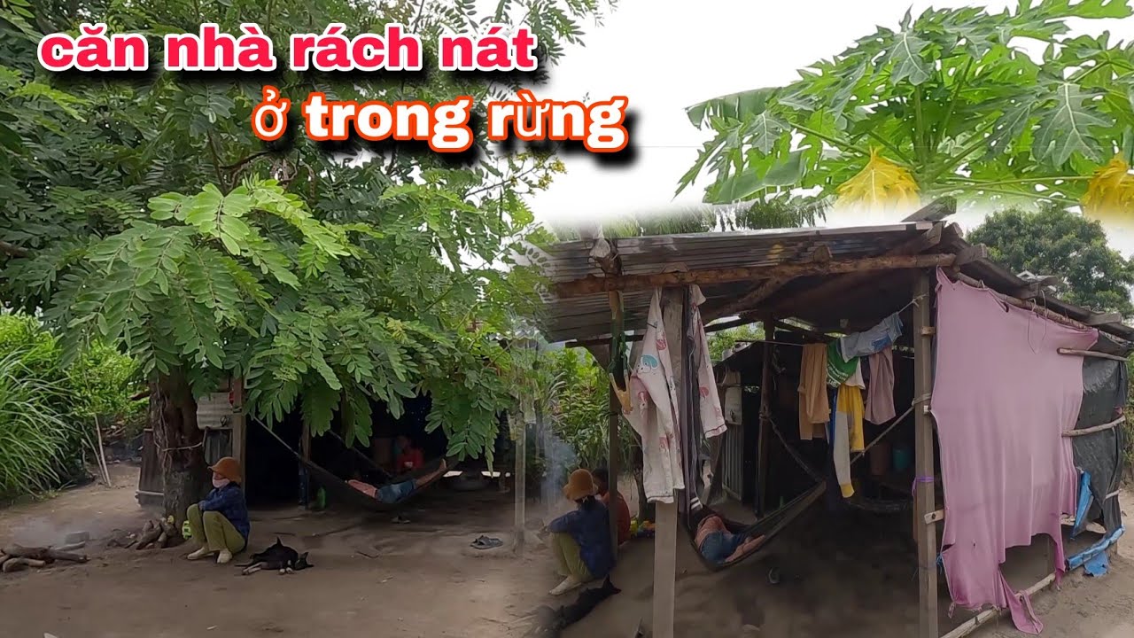 Cuộc sống ĐÓI KHỔ ở căn nhà RÁCH NÁT trong rừng || 48 - YouTube