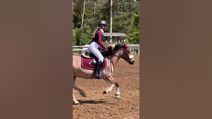 Jeszcze spóźniona rolka z zawodów🧸|| jest ktoś na zawodach w uks trójka? #horse #equestrianjourney