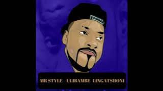 Mr Style - Ulibambe lingatshoni