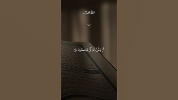 فارس عباد  تلاوة خاشعة جميلة بصوت ماهر المعيقلي أرح سمعك#ماهر_المعيقلي#القرآن_الكريم#أرح_سمعك