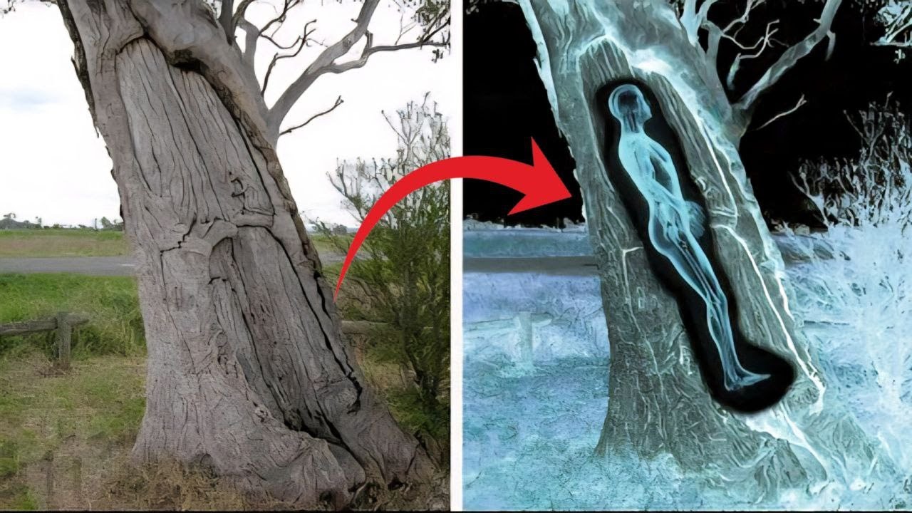 রহস্যময় যে আবিষ্কার গুলো দেখে গা শিউরে উঠবেই | Strange discoveries in the world | Discovery facts