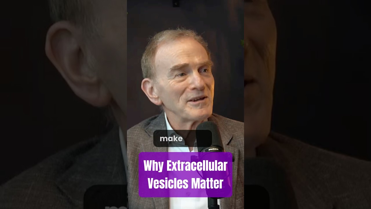 Why Extracellular Vesicles Matter