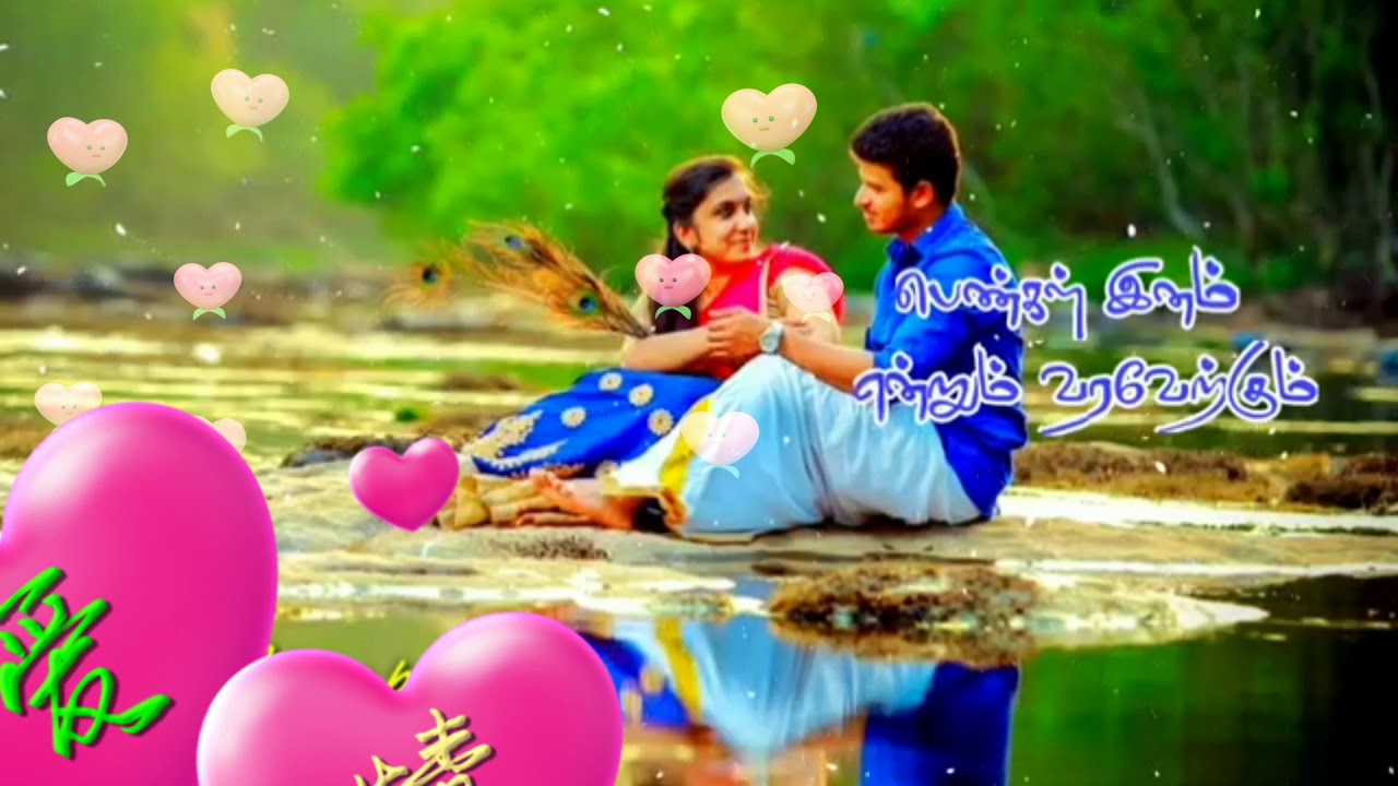 Cute Couple Love whatsapp Status 💕 YouTube