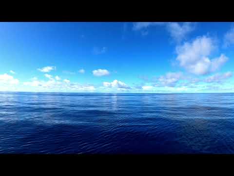 Respiración con el ritmo olas del mar 🌊 / Calma la ansiedad y duerme mejor en pocos minutos 💯%😴🛌🏻