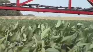 Boosting Soybean Yield #904 (Air Date 8/2/15)