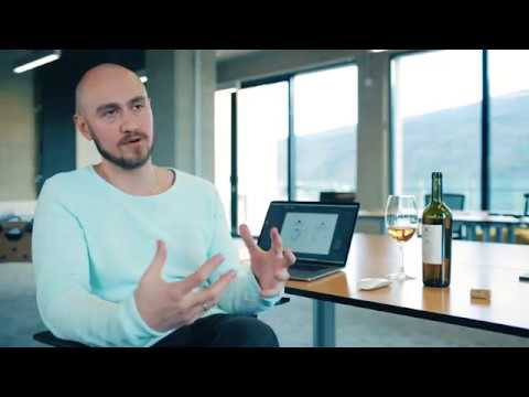 ქართული ღვინის ისტორია - Teliani Valley ეძიე და მოყევი ღვინოს