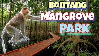 Bontang Mangrove Park - Mangrove Saleba-Taman Wisata Edukasi Dan Olahraga-Rute Mangrove Terpanjang