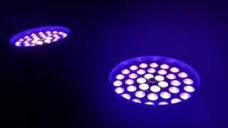 DJ Lighting LED Moving Head Light Mac Aura 101