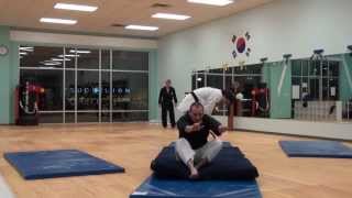 Masters in Hapkido - Practicing for 4th Degree Black Belt tests