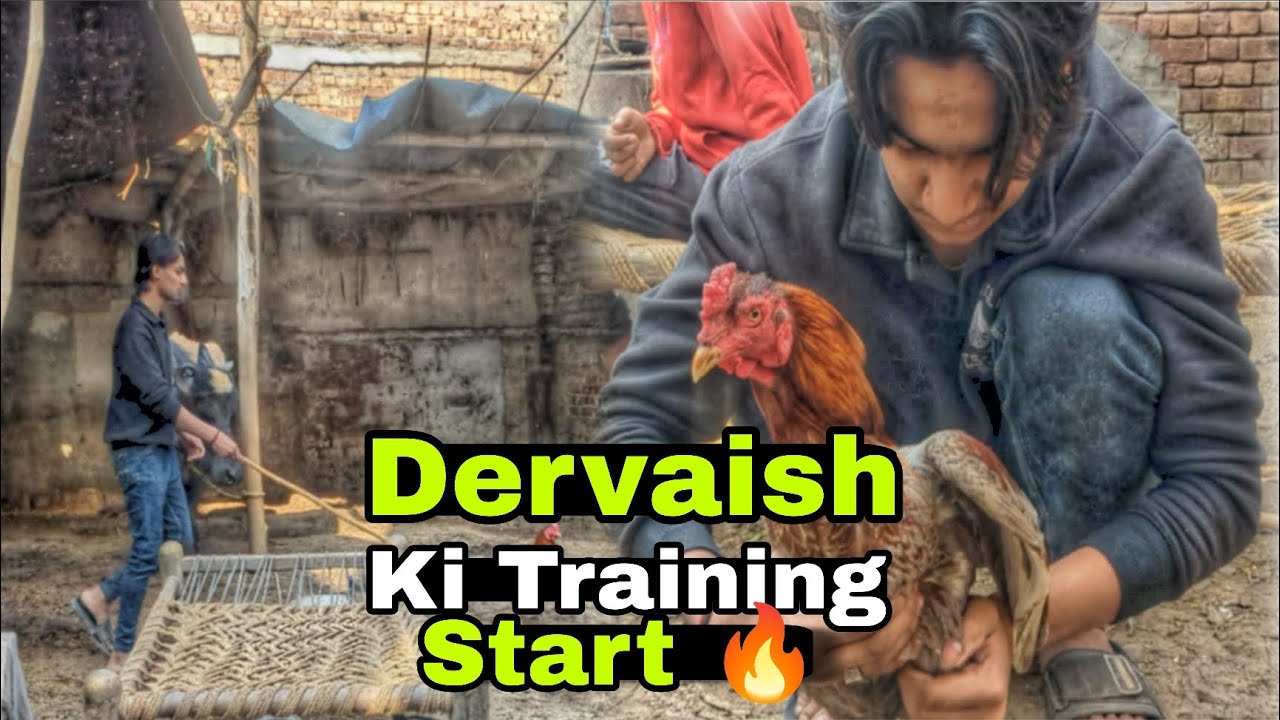 Dervaish Ki Training Start Krdi 🔥Bhot Tang Kiya Isne 🤦