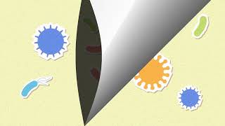 Enhanced CAUTI Prevention Bundle Video