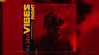 Java - Vibes Right (Official Audio)