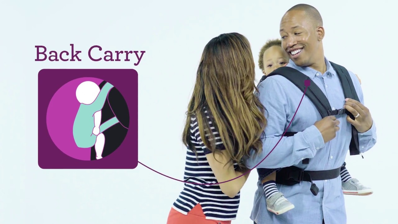 infantino upscale customizable carrier
