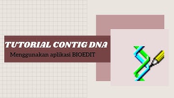 Contig DNA B 2018