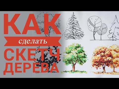 Как сделать скетч дерева