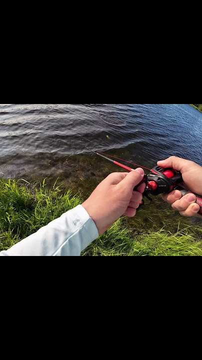 #bassfishing #naf #fishing