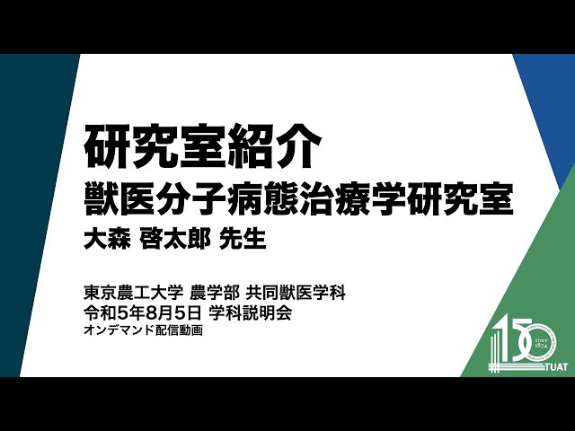 獣医師のための アルゴリズムでよみとく : 鑑別診断 ｜ 獣医学関連