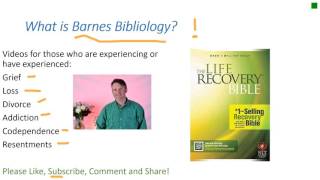 Brief me, what is Barnes Bibliology?
