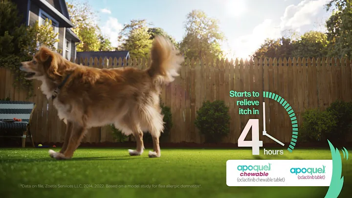 Apoquel® - Big Itch :30 TV Commercial