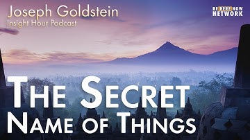 The Secret Name of Things with Joseph Goldstein – Insight Hour Ep. 138