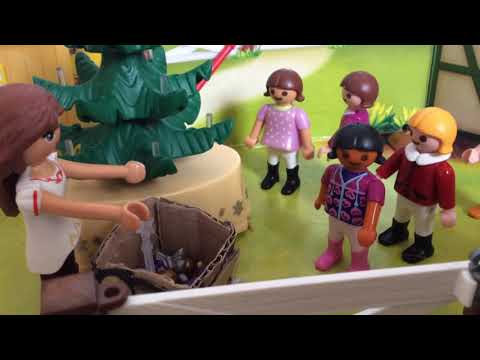 Pony kamp. Playmobil filmpje (Nederlands)🐎