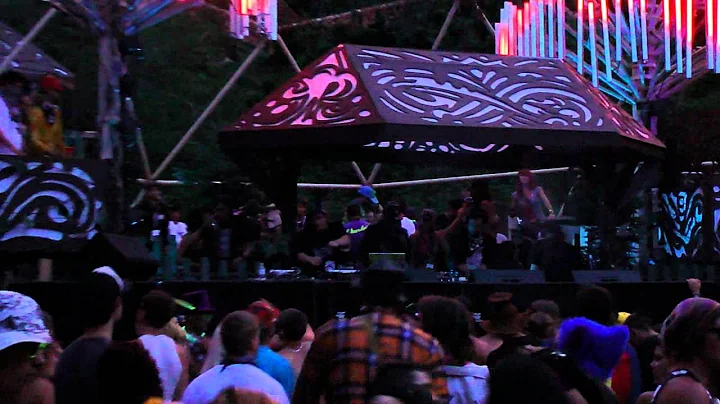 Fat pat in the village - Shambhala 2011 Live - HD