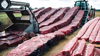 How Netherlands Produces Tons of Meat but Doesn't Kill Animals? I Would Never Eat This by WATOP 79,816 views 4 weeks ago 20 minutes