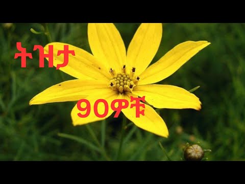 ትዝታ Best Ethiopian Music 
