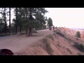 Deer Jumping Out of Bryce Canyon