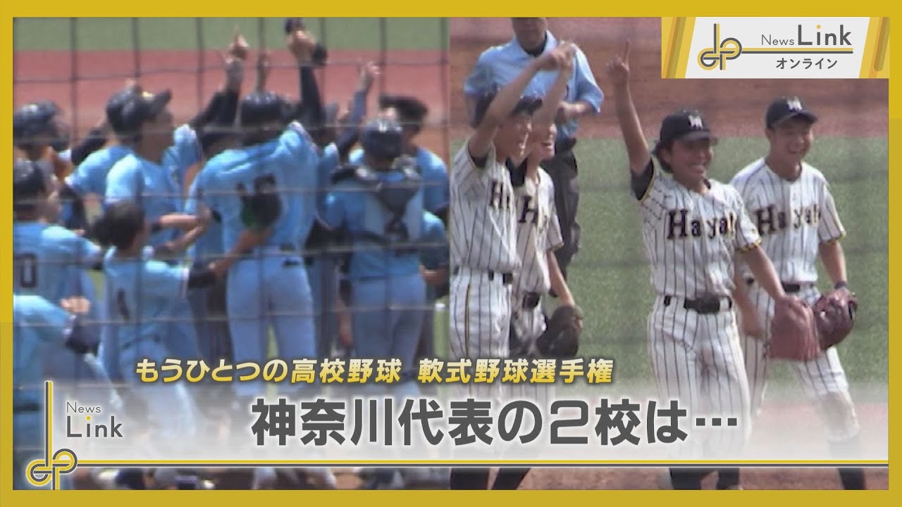 神奈川 軟式 野球 高校