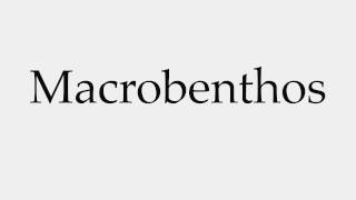 How to Pronounce Macrobenthos