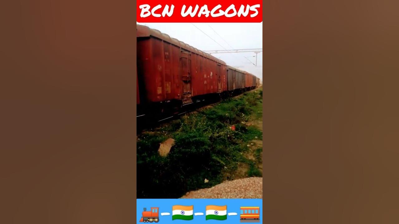 bcn-wagon-shorts-youtube