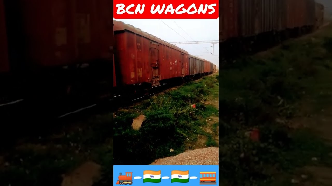 BCN Wagon shorts YouTube BCN Wagon shorts YouTube