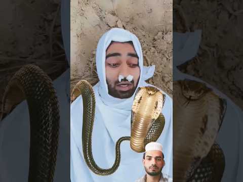 Zaqat Na Nikalne Ka Azaab Trending Snake Youtubeshorts Motivation Shorts Ytshorts Reels Duet