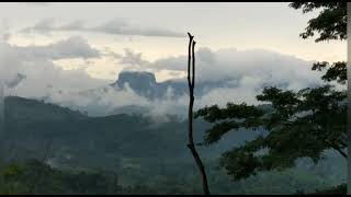 Most Beautiful Nature View On A Rainy Day Niccomera Channel