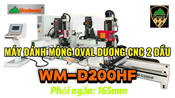 Siêu Phẩm Máy Đánh Mộng Oval Dương CNC 2 Đầu Tự Động Phiên Bản Mới 2025 WM-D200HF Có Gì Hay?!