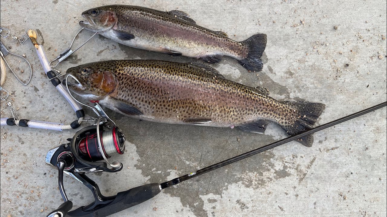 Jig Fishing for Trout at Lake Gregory/ Pescándo con Jigstrout fishing