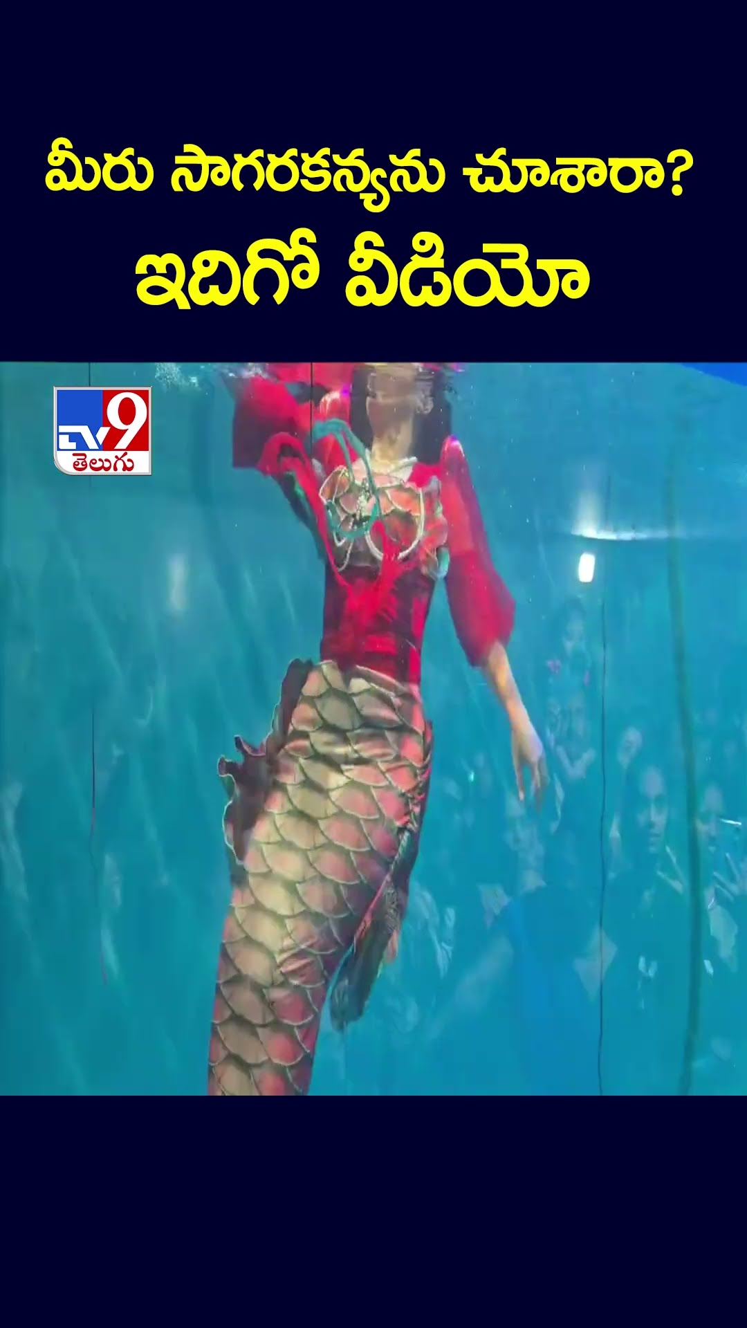 కాకినాడ తీరంలో సాగరకన్య సందడి భారీగా క్యూ కట్టిన జనం -TV9