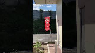IMG 6790
