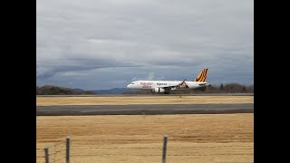 タイガーエア台湾 エアバス A320-232 B-50018 楽天モンキーズジェット IT714 台北(桃園) → 岡山 2025/03/05 水曜日撮影 【岡山桃太郎空港】