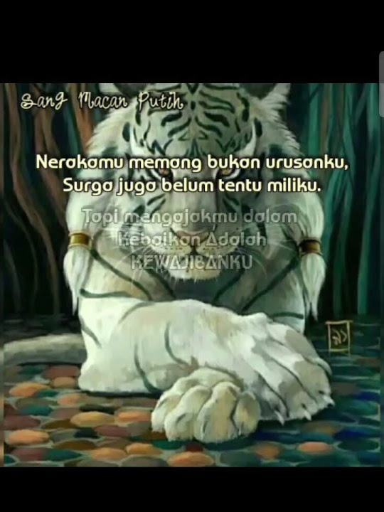 Story wa (30 detik) wejangan macan putih