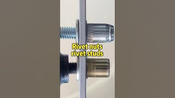 Rivet nuts and rivet studs