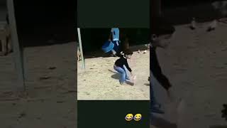 Çocuğa Saldıran Horoz Izleyenleri Kahkahaya Boğdu Şfet