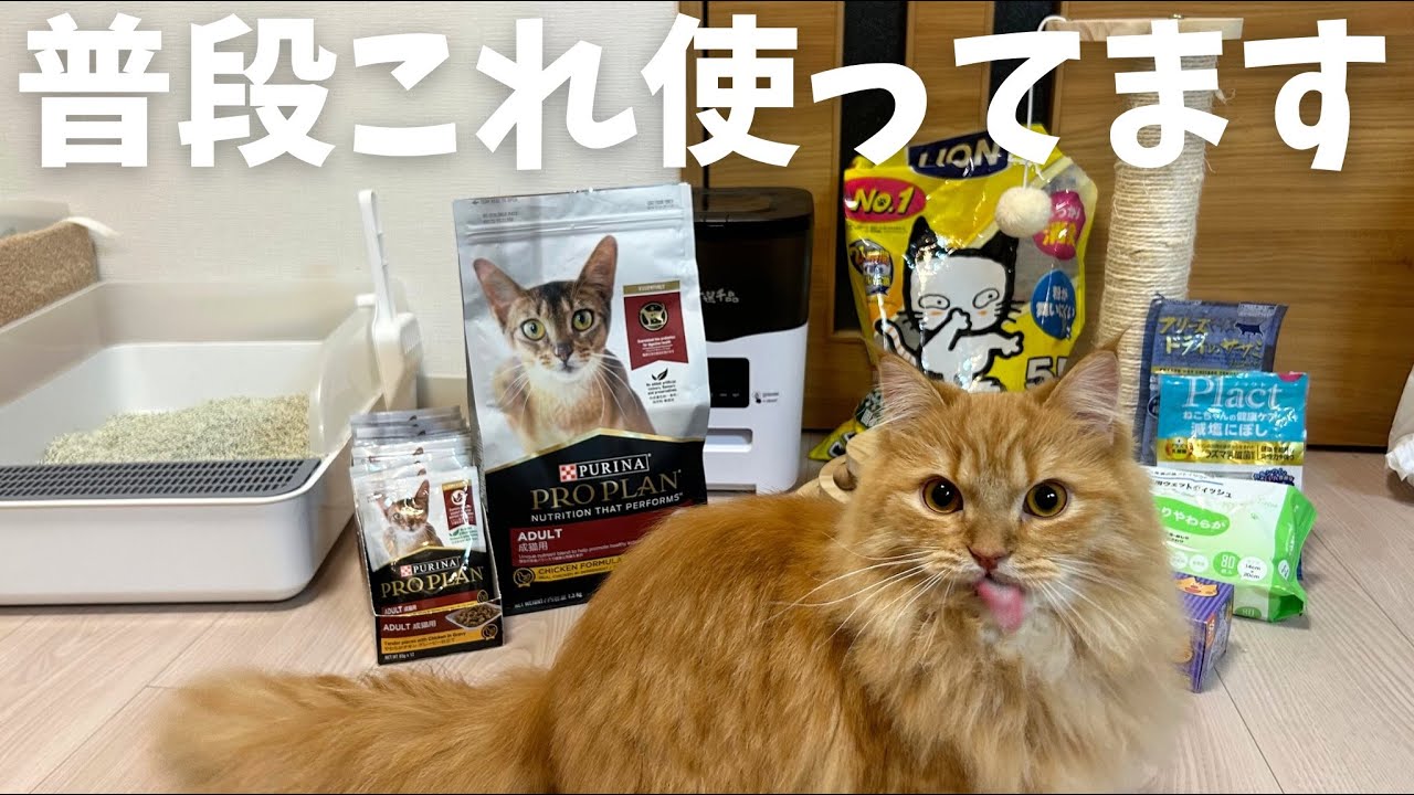 普段使用している商品を紹介！